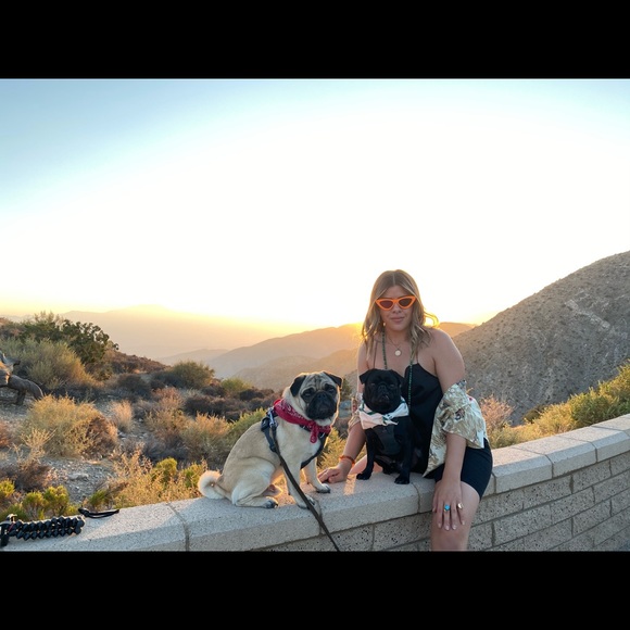 Meet your Posher, Lauren - Picture 4 of 6